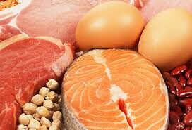 Sources of proteins such as meat and eggs